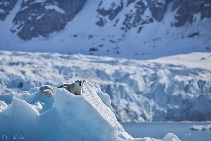 La découverte du Spitzberg